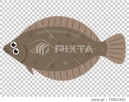 比目魚圖 比目魚圖 74062892