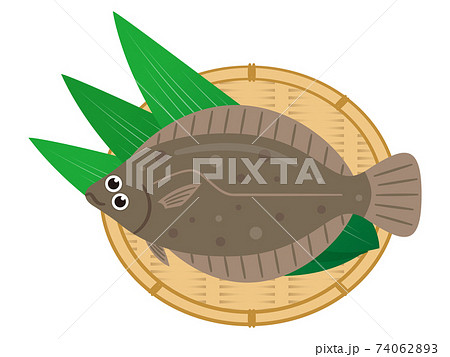 ヒラメのイラストレーション 74062893