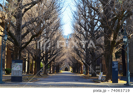 東大(東京大学) 正門からの景観 東大(東京大学) 正門からの景観 74063719