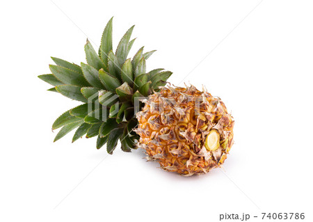Ripe pineapple fruits isolated on a white background. 74063786