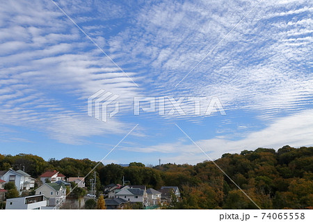 住宅街に広がる秋空(愛知県日進市 岩崎町 竹ノ山) 住宅街に広がる秋空(愛知県日進市 岩崎町 竹ノ山) 74065558