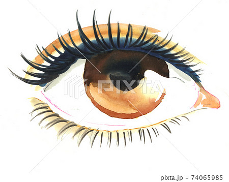 Beautiful woman eye. Ink and watercolor drawing Beautiful woman eye. Ink and watercolor drawing 74065985