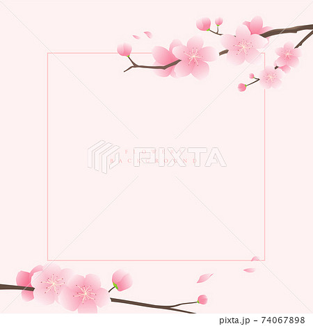 桜 花 フレーム 74067898