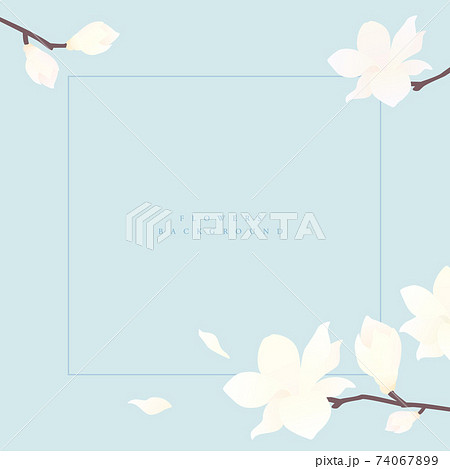 マグノリア 花 フレームのイラスト素材