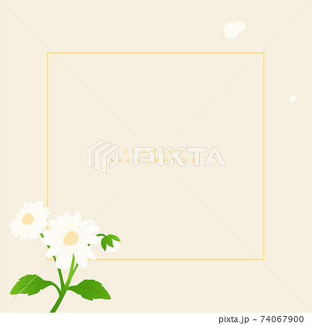 デイジー 花 フレームのイラスト素材