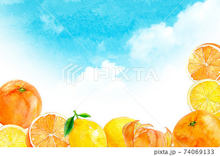 オレンジ　柑橘系　フレーム 74069133