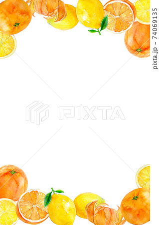 オレンジ　柑橘系　フレーム 74069135