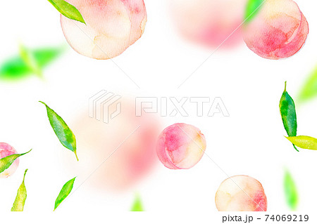水彩イラスト 桃 背景素材のイラスト素材