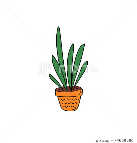 Sansevieria sign. House plant. Flowers in pot. Hand drawn vector doodle illustration Sansevieria sign. House plant. Flowers in pot. Hand drawn vector doodle illustration 74069680