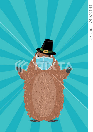 Groundhog in face mask 74070144