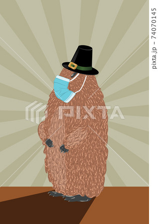 Groundhog in face mask 74070145