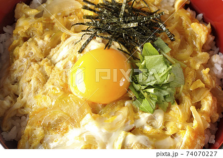 卵黄、みつば、刻み海苔の乗っている玉子丼 卵黄、みつば、刻み海苔の乗っている玉子丼 74070227