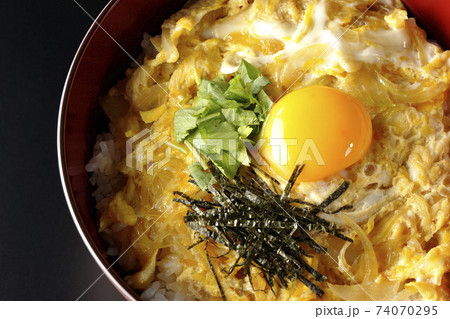 卵黄、みつば、刻み海苔の乗っている玉子丼を黒背景で撮影(俯瞰) 卵黄、みつば、刻み海苔の乗っている玉子丼を黒背景で撮影(俯瞰) 74070295