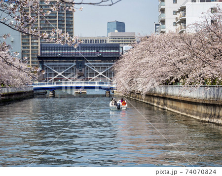 大島川水門と桜 大島川水門と桜 74070824