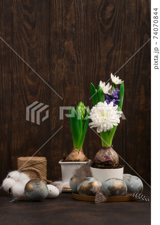 Easter Decoration with gray golden eggs, quail feathers, hyacinth daisy flowers on dark wooden background. Happy Easter card concept. 74070844