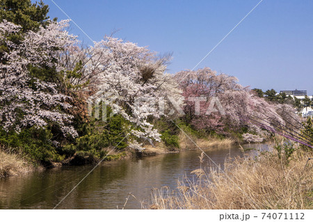 江原道 江陵 釣り 74071112