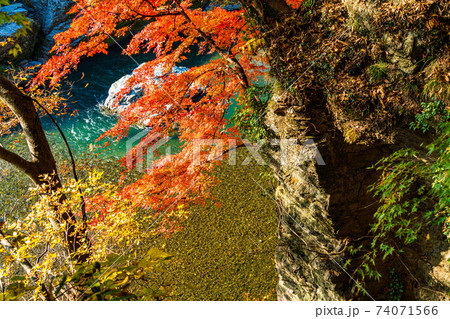 (埼玉県)長瀞の紅葉 (埼玉県)長瀞の紅葉 74071566