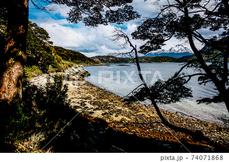 Patagonia Tierra del fuego national park Argentina Patagonia Tierra del fuego national park Argentina 74071868