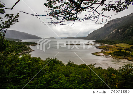Patagonia Tierra del fuego national park Argentina 74071899