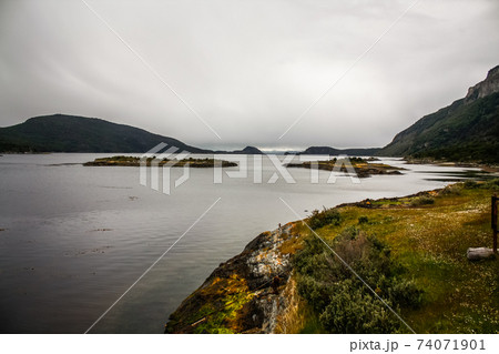 Patagonia Tierra del fuego national park Argentina 74071901