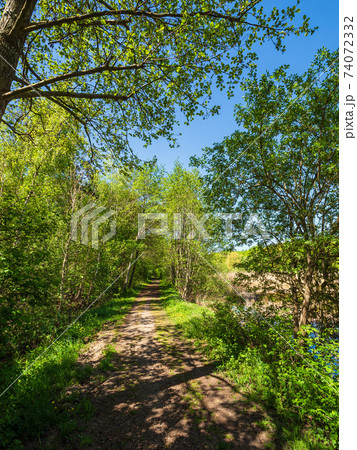 Landscape with dirt track and trees near Kuchelmiss, Germany 74072332