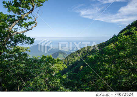 大山登山、ユートピアコースの景色（2020年8月） 74072624