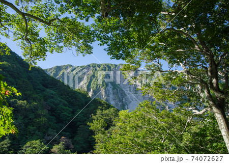 大山登山、ユートピアコースの景色（2020年8月） 74072627