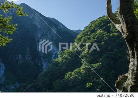 大山登山、ユートピアコースの景色（2020年8月） 74072630