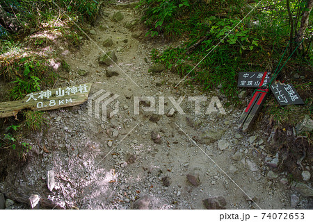 大山登山、ユートピアコースの景色（2020年8月） 74072653