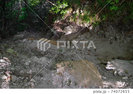 大山登山、ユートピアコースの景色（2020年8月） 74072655