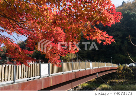 紅葉の香嵐渓 薫楓橋 巴川 紅葉の香嵐渓 薫楓橋 巴川 74073572