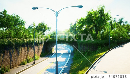 arch bridge with living bush branches in park arch bridge with living bush branches in park 74075058
