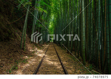 旧国鉄倉吉線　泰久寺駅跡～倉吉線廃線竹林（2020年8月） 74078975