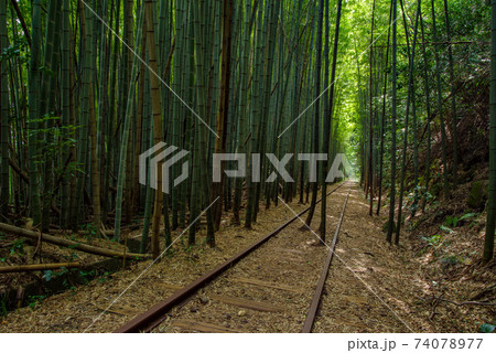 旧国鉄倉吉線　泰久寺駅跡～倉吉線廃線竹林（2020年8月） 74078977