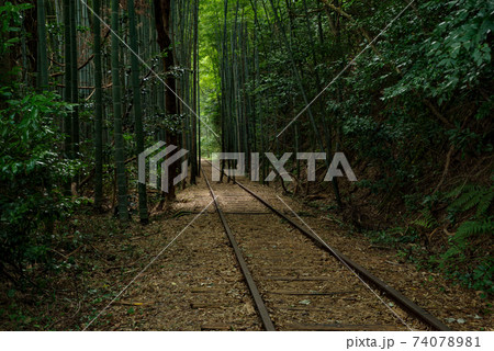 旧国鉄倉吉線 泰久寺駅跡~倉吉線廃線竹林(2020年8月) 旧国鉄倉吉線 泰久寺駅跡~倉吉線廃線竹林(2020年8月) 74078981