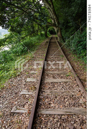 旧国鉄倉吉線 泰久寺駅跡~倉吉線廃線竹林(2020年8月) 旧国鉄倉吉線 泰久寺駅跡~倉吉線廃線竹林(2020年8月) 74078984