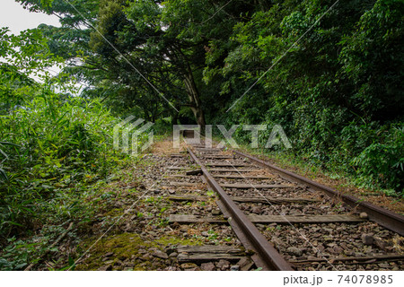 旧国鉄倉吉線 泰久寺駅跡 倉吉線廃線竹林 年8月 の写真素材