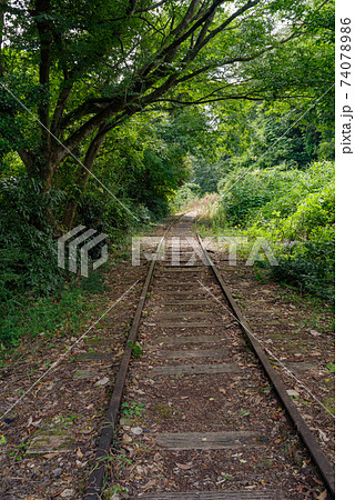旧国鉄倉吉線 泰久寺駅跡~倉吉線廃線竹林(2020年8月) 旧国鉄倉吉線 泰久寺駅跡~倉吉線廃線竹林(2020年8月) 74078986