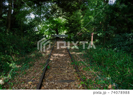 旧国鉄倉吉線　泰久寺駅跡～倉吉線廃線竹林（2020年8月） 74078988