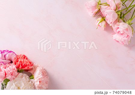 母の日イメージ　ピンクの薔薇とカーネーションのフレーム 74079048
