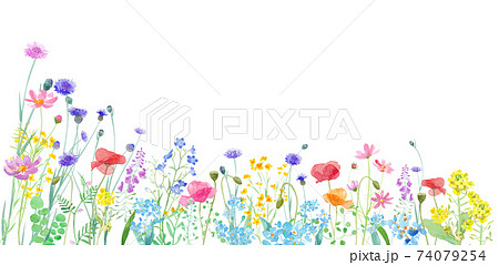 色々な花が咲き乱れる 春の野原の水彩イラスト バナー背景 アシンメトリー のイラスト素材