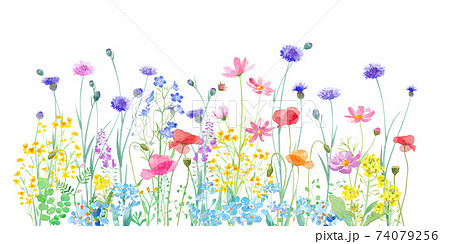 色々な花が咲き乱れる 春の野原の水彩イラスト のイラスト素材