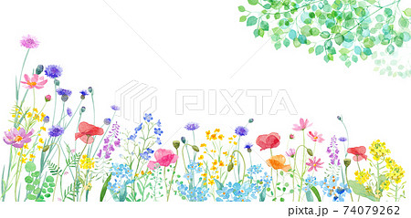 色々な花が咲き乱れる春の野原と 新緑の枝葉の水彩イラスト バナー背景 のイラスト素材