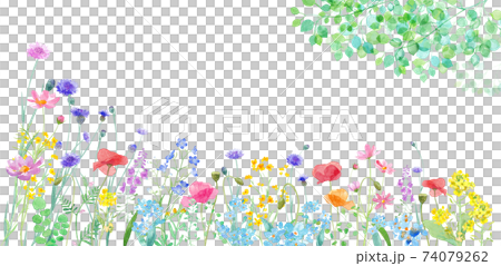 各種各樣的花盛開和新鮮的綠色分支和葉子春天領域的水彩例證。橫幅背景。 74079262