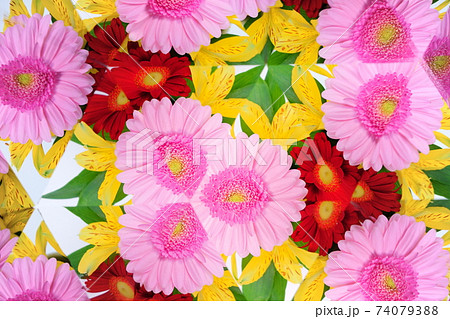 生花万華鏡・ガーベラとアルストロメリア2 74079388