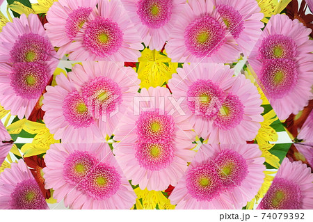 生花万華鏡・ガーベラとアルストロメリア6 74079392