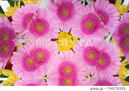 生花万華鏡・ガーベラとアルストロメリア7 74079393