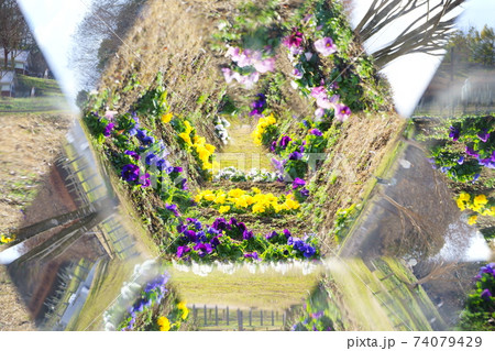 万華鏡で見る公園の花壇5 74079429