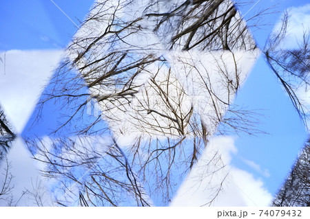 冬の枝・カレイドスコープ1 74079432