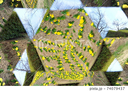 万華鏡で見る公園の花壇8 74079437